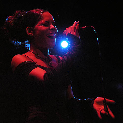 Klik voor meer popportretten...